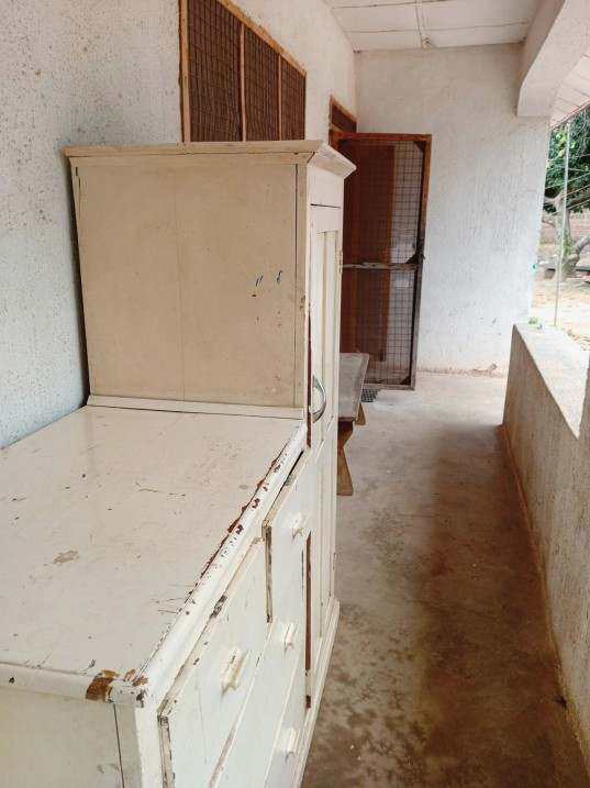 Project photo 1